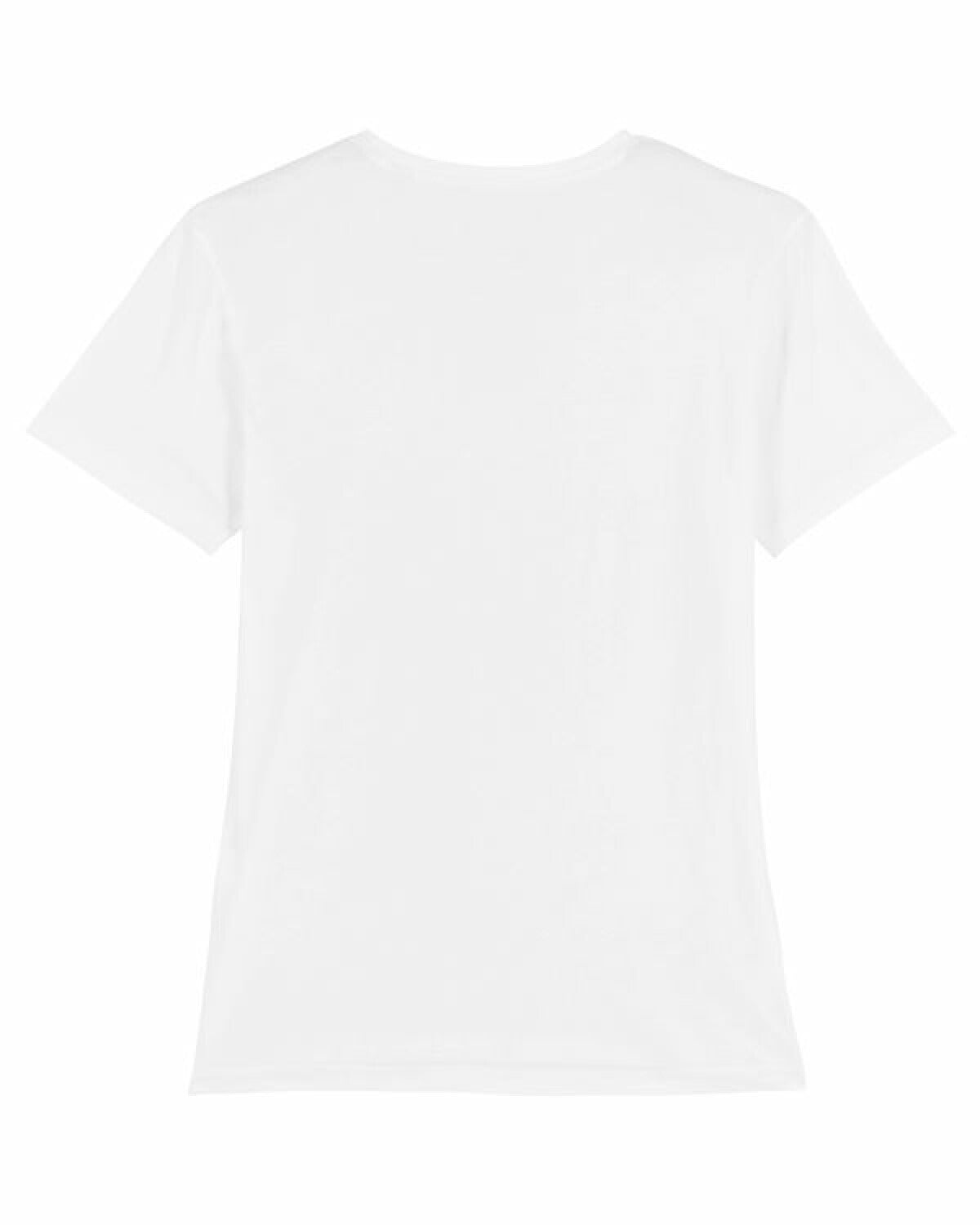 Mens Organic V-Neck Shirt